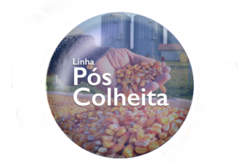 Pós-colheita Bequisa